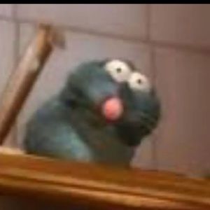 Meet your Posher, Holly